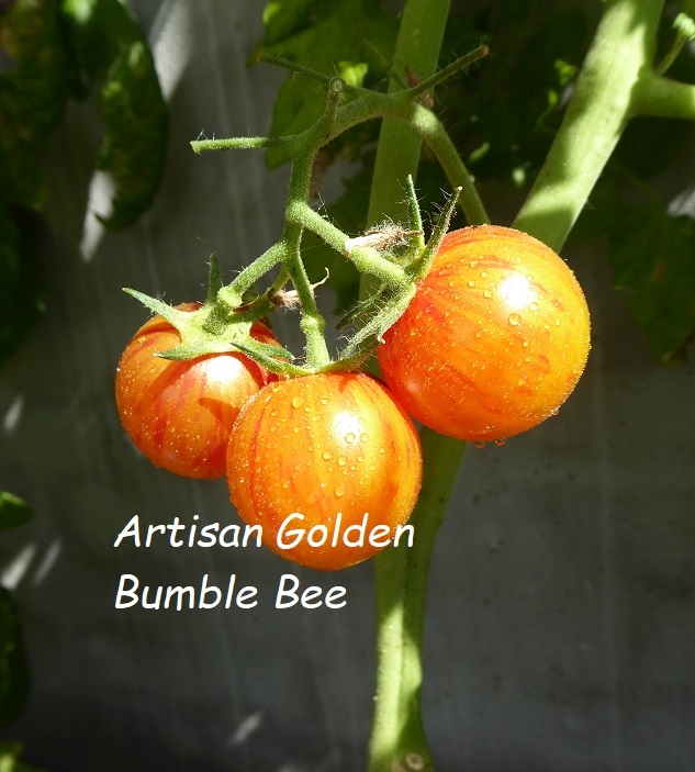Artisan Golden Bumble Bee